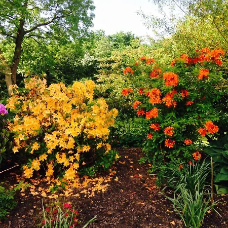 Spinkebjerg 18, 7400 Отель типа 