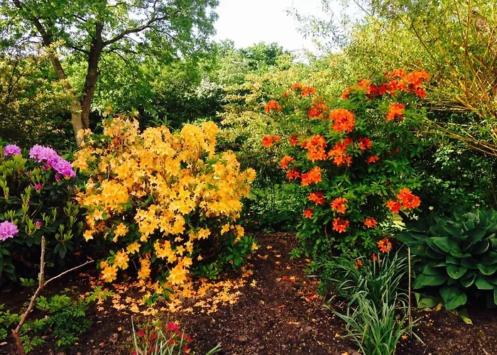 Spinkebjerg 18, 7400 Bed & Breakfast *